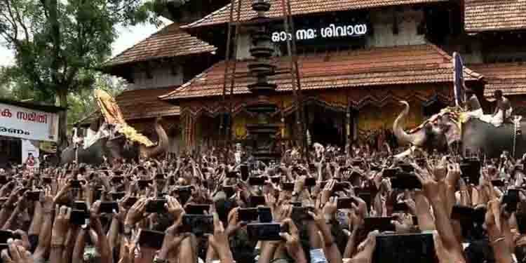 തുമ്പിക്കൈ ഉയ‍ർത്തി കൊമ്പന്മാർ; ഭ​ഗവതിമാ‍ർ ഉപചാരം ചൊല്ലി പിരിഞ്ഞു, പകൽവെടിക്കെട്ടോടെ തൃശൂർപൂരത്തിന് പരിസമാപ്തി