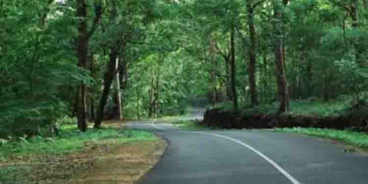 വിനോദ സഞ്ചാരികളുടെ തിരക്ക്; വാഴച്ചാൽ- മലക്കപ്പാറ റൂട്ടിലെ ഗതാഗത നിയന്ത്രണം പിൻവലിച്ചു