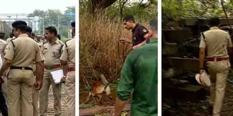 കണ്ണൂർ ട്രെയിൻ തീവയ്പ്പ്; കണ്ണാടി കുത്തിപ്പൊട്ടിച്ചു, മണം പിടിച്ച് പൊലീസ് നായ സമീപത്തെ കുറ്റിക്കാട്ടിലേക്ക്