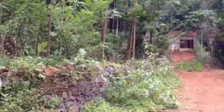 കാഞ്ഞിരപ്പള്ളി ചേനപ്പാടിയിൽ ഭൂമിക്കടിയിൽ നിന്ന് വീണ്ടും ഉഗ്രസ്ഫോടന ശബ്ദം; ശബ്ദം കേട്ടത് പുലർച്ചെ രണ്ടു തവണ