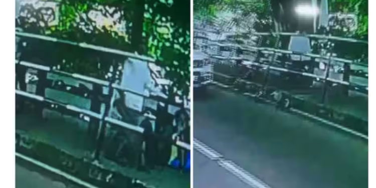 തിരുവനന്തപുരത്ത് വീണ്ടും സ്ത്രീക്കെതിരെ അതിക്രമം; ​ഗർഭിണിയെ പിന്തുടർന്ന് ഉപദ്രവിച്ചെന്ന് പരാതി