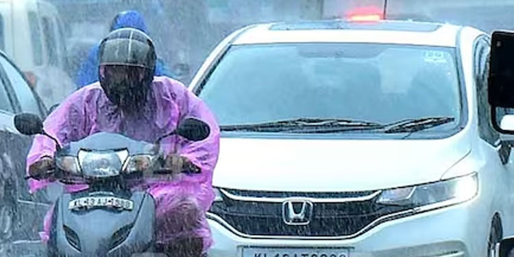 സംസ്ഥാനത്ത് 5 ദിവസം ശക്തമായ മഴയ്ക്ക് സാധ്യത; വിവിധ ജില്ലകളിൽ യെലോ അലർട്ട്