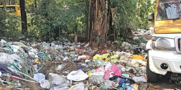 മാലിന്യം തള്ളൽ: കൊച്ചിയിൽ എട്ടു കേസുകൾ കൂടി എടുത്തു