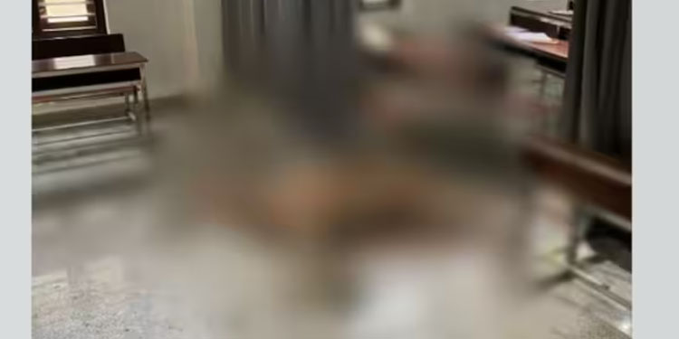 തെരുവുനായ്ക്കള്‍ കൂട്ടത്തോടെ ആക്രമിച്ചു; രക്ഷപ്പെടാന്‍ മദ്രസയിലേക്ക് ഓടിക്കയറിയിട്ടും പുള്ളിമാനിന്റെ ജീവൻ പോയി