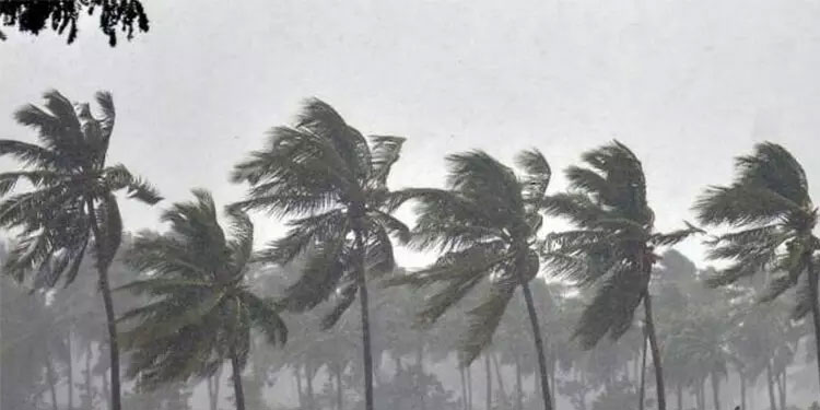 അടുത്ത 48 മണിക്കൂറിനുള്ളിൽ കാലവർഷം കേരളത്തിൽ എത്താൻ സാധ്യതയെന്ന് കേന്ദ്ര കാലാവസ്ഥ വകുപ്പ്