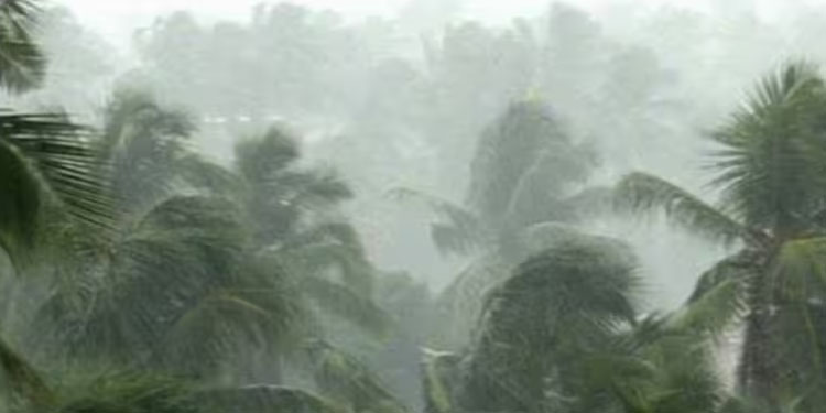 സംസ്ഥാനത്ത് ഇന്ന് വ്യാപക മഴയ്ക്ക് സാധ്യത; ആലപ്പുഴയിലും എറണാകുളത്തും യെല്ലോ അലർട്ട്