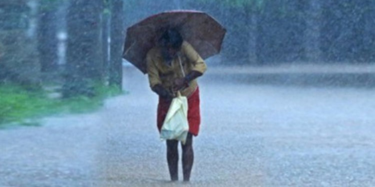 സംസ്ഥാനത്ത് മഴ തുടരും: വടക്കൻ കേരളത്തിൽ ശക്തമായ മഴയ്ക്ക് സാധ്യത; യെല്ലോ അലർട്ട്