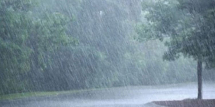സംസ്ഥാനത്ത് നാളെയും മറ്റന്നാളും ശക്തമായ മഴയ്ക്ക് സാധ്യത