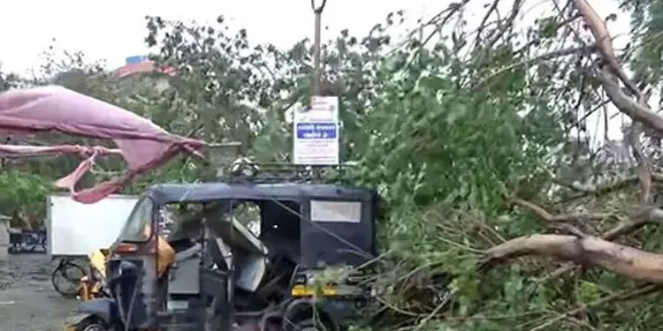ഗുജറാത്ത് തീരത്ത് നാശംവിതച്ച് ബിപോർജോയ്; 22 പേർക്ക് പരിക്ക്; മരങ്ങളും വൈദ്യുതി തൂണുകളും കടപുഴകി