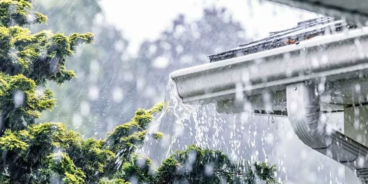 രണ്ട് ജില്ലകളിൽ മഞ്ഞ അലർട്ട്: ഒറ്റപ്പെട്ട ശക്തമായ മഴയ്ക്ക് സാധ്യത