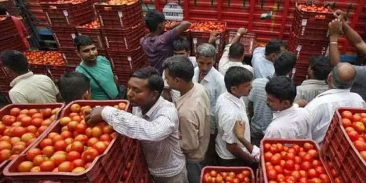 തക്കാളി വിലക്കയറ്റം താൽക്കാലിക പ്രതിഭാസമെന്ന്​ അധികൃതർ; കാരണം ഇതാണ്