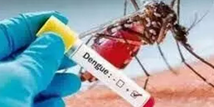 അടുത്ത മാസം ഡെങ്കിപ്പനിക്കേസുകൾ രൂക്ഷമായേക്കുമെന്ന് മുന്നറിയിപ്പ്