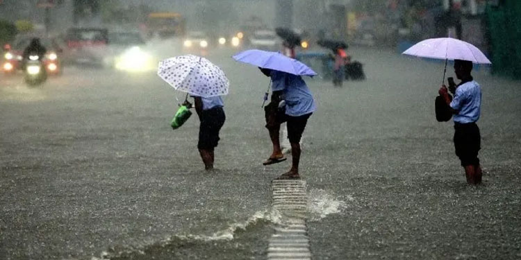 വടക്കോട്ട് മഴ കനക്കും; കോഴിക്കോട്, കണ്ണൂർ, കാസർകോട് ജില്ലകളിൽ യെലോ അലർട്ട്