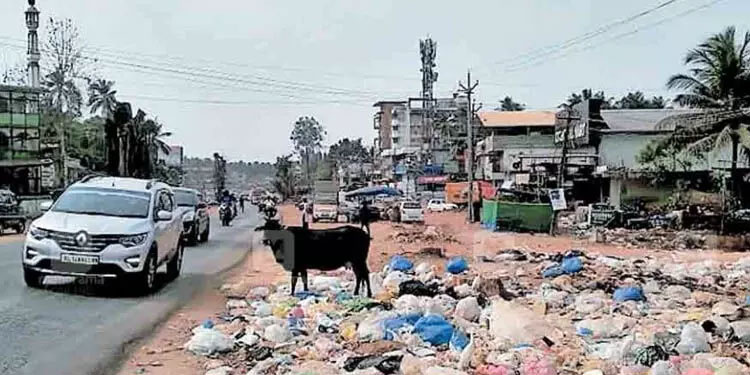 മാലിന്യം തള്ളല്‍: 12 പൊലീസ് കേസുകള്‍