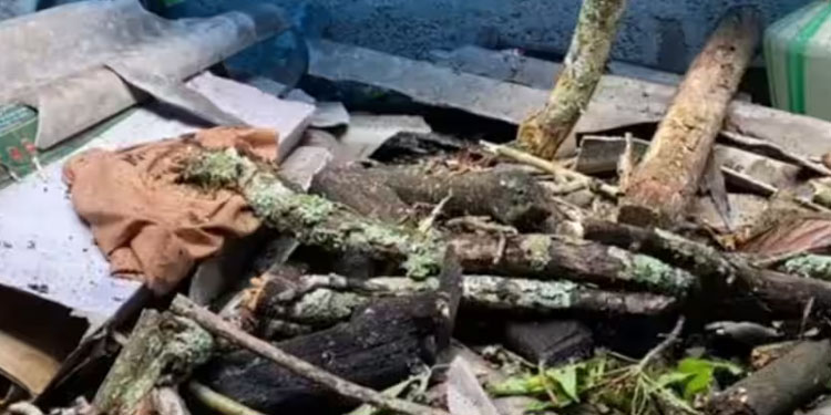 ഇടുക്കിയില്‍ മരം വീണ് വീട് തകര്‍ന്നു