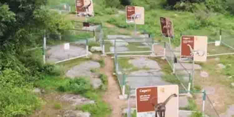 650 കോടി വര്‍ഷം പഴക്കമുള്ള ദിനോസര്‍ മുട്ടകള്‍ മധ്യപ്രദേശിലെ ധറില്‍ നിന്നും കണ്ടെത്തി