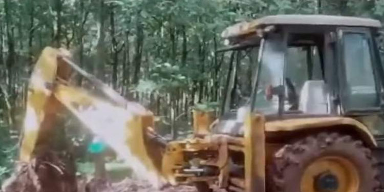 വാഴക്കോട്ടെ ആനക്കൊല : ആനയെ കുഴിച്ചിടാൻ എത്തിയ 2 പേർ കസ്റ്റ‍ഡിയിൽ