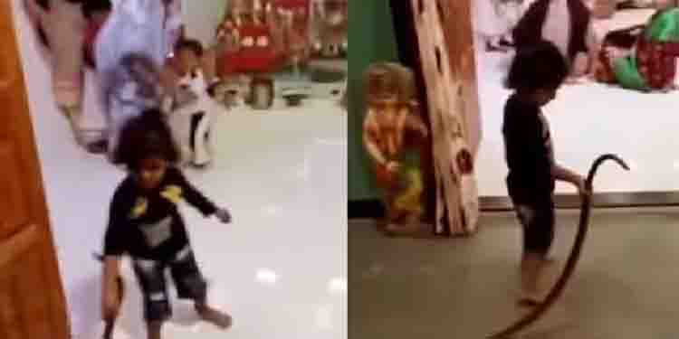 പാമ്പിനോടൊപ്പം കളിച്ച് കുട്ടി, മാതാപിതാക്കൾക്ക് സോഷ്യൽ മീഡിയയിൽ രൂക്ഷ വിമർശനം
