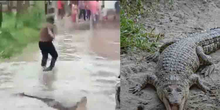 ഉത്തരാഖണ്ഡിൽ പ്രളയഭീതി ഒഴിയുന്നു, ഇനി മുതലപ്പേടി: വിഡിയോ