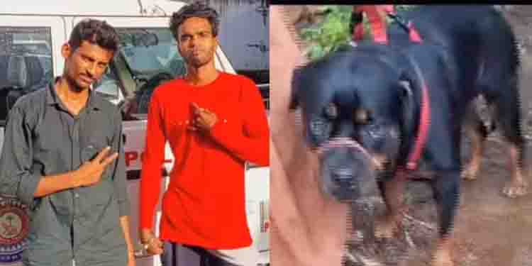റോട്ട് വീലറെ കാണിച്ച് അന്യസംസ്ഥാന പൊലീസിനെ പറ്റിച്ചു, കേരള പൊലീസിന് മുന്നില്‍ പണി പാളി; വന്‍ ലഹരിമരുന്ന് വേട്ട