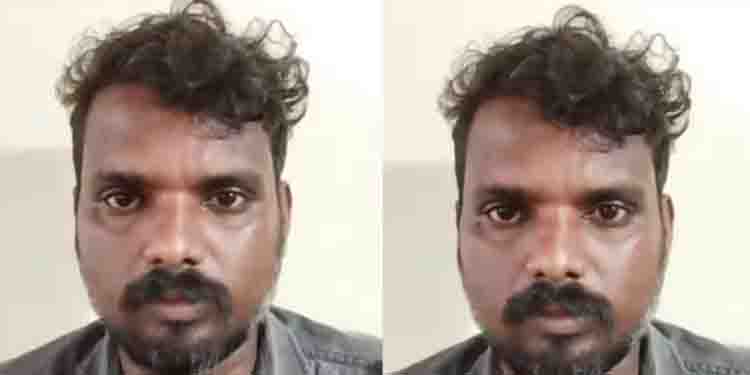 വന്‍ വിലയുള്ള പോത്തുകളെ മോഷ്ടിച്ച് ഇറച്ചിക്കച്ചവടക്കാര്‍ക്ക് വിറ്റു, ഒരാൾ അറസ്റ്റിൽ