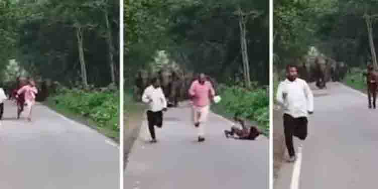 കാട്ടാനകളോടൊത്ത് സെല്‍ഫിയെടുക്കാന്‍ മൂന്ന് പേര്‍; പിന്നീട് നടന്നത്