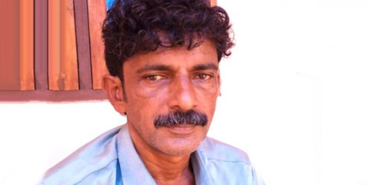 മാരാരിക്കുളത്ത്‌ മരം വെട്ടുന്നതിനിടെ ശിഖരം തലയിൽ വീണ് തൊഴിലാളി മരിച്ചു