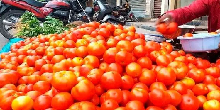 തക്കാളി വില വർധന: റേഷൻ കടകൾ വഴി വിതരണം ചെയ്യാൻ തമിഴ്നാട് സർക്കാർ