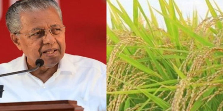 നെല്ലുവില വിതരണം രണ്ടാഴ്‌ചയ്ക്കുള്ളില്‍ നടത്തണം: മുഖ്യമന്ത്രി