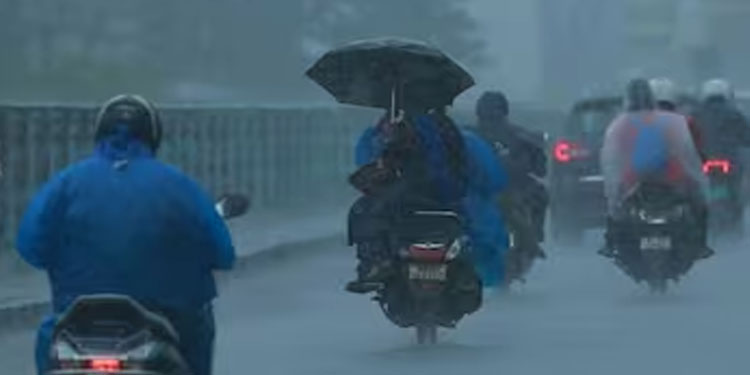 ന്യുന മർദ്ദം: കേരളത്തിൽ അടുത്ത 5 ദിവസം വ്യാപകമായ മഴ മുന്നറിയിപ്പ്, ജില്ലകളിലെ അലർട്ടുകൾ ഇങ്ങനെ…