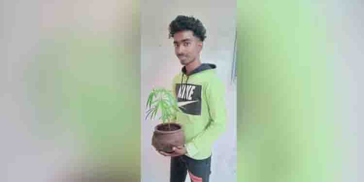 ടെറസിൽ കഞ്ചാവ് ‘കൃഷി’; യുവാവ് പിടിയിൽ
