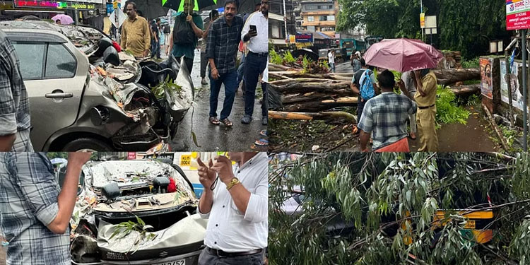 നാശം വിതച്ച് മഴ : ദുരിതാശ്വാസ ക്യാമ്പുകൾ തുറന്നു, ജനങ്ങൾക്ക് ജാഗ്രതാ നിർദേശം