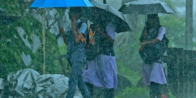 കോട്ടയം ജില്ലയിലെ വിദ്യാഭ്യാസ സ്ഥാപനങ്ങൾക്ക് നാളെ അവധി