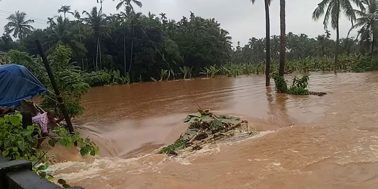 മഴ ശക്തം; നാലു ജില്ലകളിൽ വിദ്യാഭ്യാസ സ്ഥാപനങ്ങൾക്ക് നാളെ അവധി