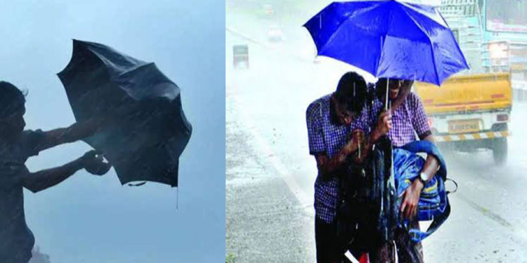 നാടെങ്ങും നാശം വിതച്ച് മഴ; പത്ത് ജില്ലകളിൽ വിദ്യാഭ്യാസ സ്ഥാപനങ്ങൾക്ക് ഇന്ന് അവധി പ്രഖ്യാപിച്ചു, പൂർണ വിവരങ്ങൾ