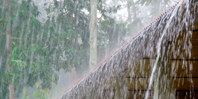 പന്തളത്ത് കാറ്റിലും മഴയിലും വ്യാപക നാശം; അച്ചൻകോവിലാറ്റിൽ ജലനിരപ്പ് ഉയർന്നു