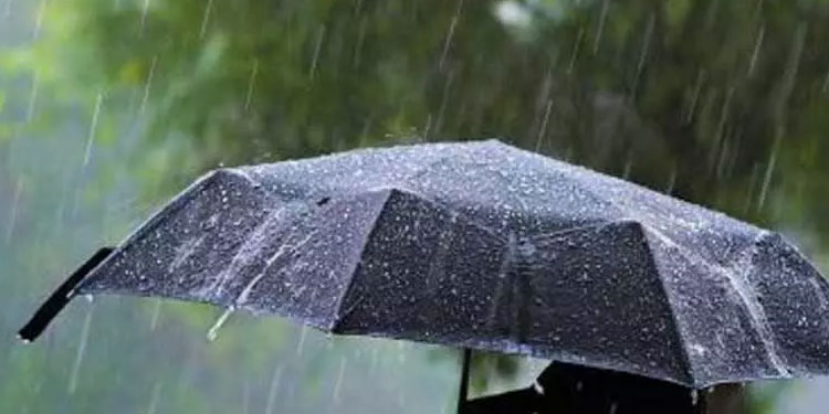 കാലവർഷം: കാ​സ​ർ​കോ​ട് ജില്ലയിൽ മഴലഭ്യത സാധാരണ നിലയിലേക്ക്