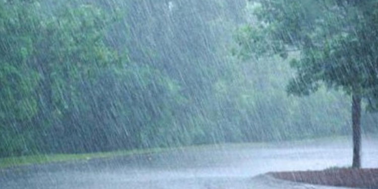 സംസ്ഥാനത്ത് ഒറ്റപ്പെട്ട മഴയ്ക്ക് സാധ്യത; 3 ജില്ലകളിൽ യെല്ലോ അലർട്ട്
