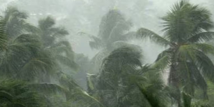 കേരളത്തില്‍ മൂന്ന് ദിവസം വ്യാപക മഴയ്ക്ക് സാധ്യത; ഞായറാഴ്ചയോടെ ചക്രവാത ചുഴി രൂപപ്പെട്ടേക്കുമെന്നും അറിയിപ്പ്