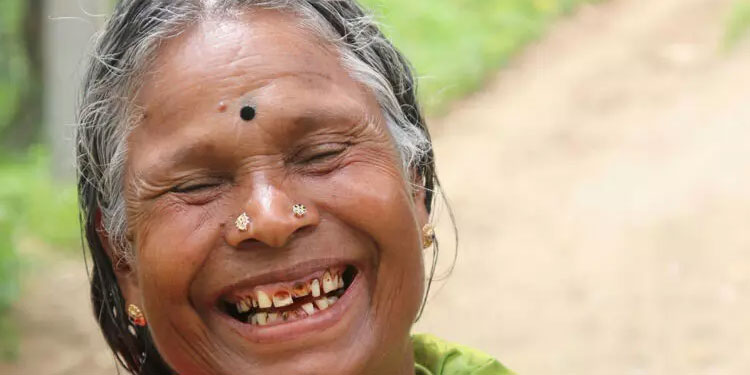 നഞ്ചിയമ്മയുടെ ഭൂമി: കൈയേറ്റക്കാർക്ക് തിരിച്ചടിയായത് ഹൈകോടതി വിധി