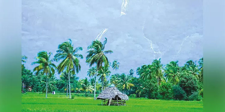സഞ്ചാരികളുടെ ഒഴുക്ക്; പുലിവാല് പിടിച്ച് കൊല്ലങ്കോട്ടുകാർ