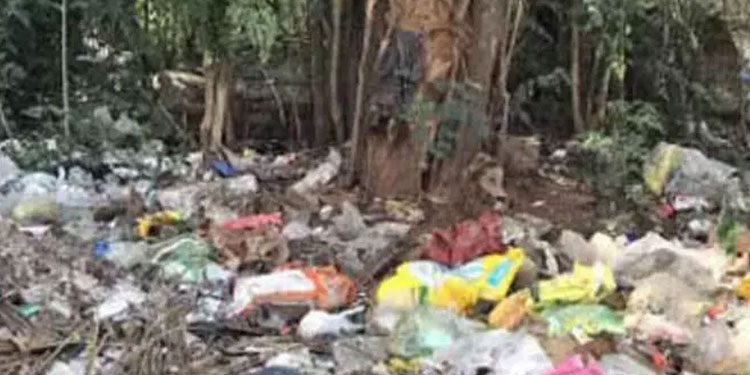 മാലിന്യം തള്ളൽ: കൊച്ചിയിൽ ആറ് കേസ് കൂടി രജിസ്റ്റർ ചെയ്തു