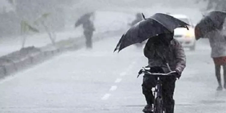 വയനാട് ജി​ല്ല​യി​ൽ 33 ശ​ത​മാ​നം മ​ഴ കു​റ​വ്
