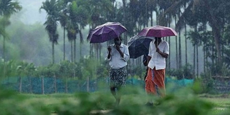 കേരളത്തിൽ ശക്തമായ മഴയ്‌ക്ക് സാധ്യത: ഇന്ന് ആറ് ജില്ലകളിൽ മഞ്ഞ അലർട്ട്