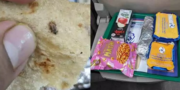 വന്ദേഭാരതിൽ വിളമ്പിയ ഭക്ഷണത്തിൽ പാറ്റ; ഗുണനിലവാരം ചോദ്യം ചെയ്ത് യാത്രക്കാർ