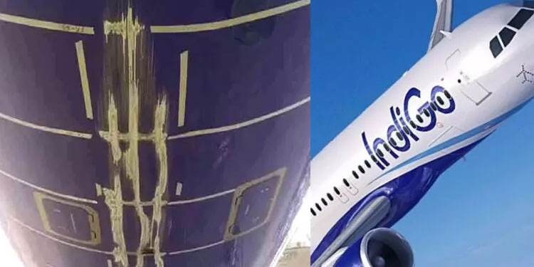 വിമാനത്തിന്റെ പിൻഭാഗം നിലത്തുതട്ടി; ഇൻഡിഗോയ്ക്ക് 30 ലക്ഷം രൂപ പിഴ