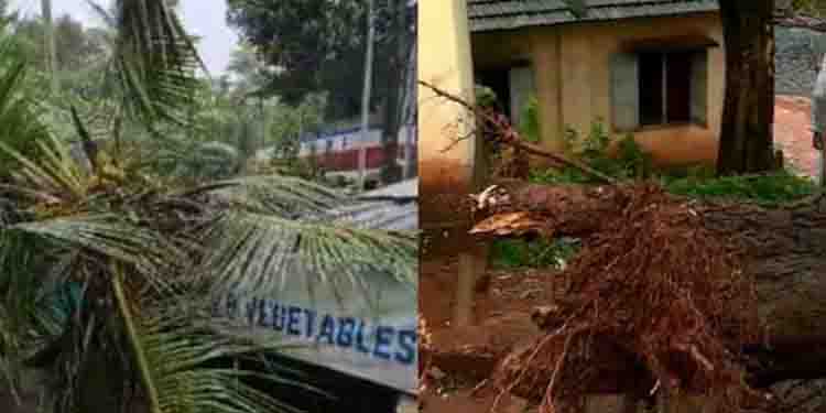 അതിതീവ്ര മഴ: ഉരുൾപൊട്ടൽ, മണ്ണിടിച്ചിൽ, വെള്ളപ്പൊക്ക സാധ്യത; റവന്യൂമന്ത്രി ഉന്നതതല യോഗം വിളിച്ചു