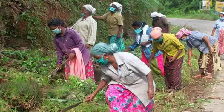 കേരള മോഡൽ ; തൊഴിലുറപ്പ് പദ്ധതിയിൽ രാജ്യത്തിനാകെ മാതൃകകായി കേരളം