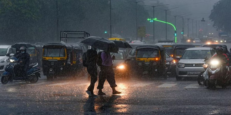 കനത്ത മഴ തുടരുന്നു ; രണ്ട് ജില്ലകളിൽ നാളെ അവധി