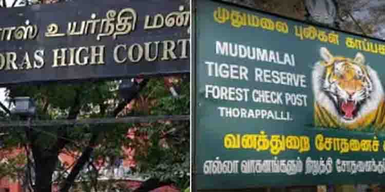 ‘ഭയം കൂടാതെ ജീവിക്കാൻ മൃഗങ്ങൾക്കും അവകാശം ഉണ്ട്,കടുവസങ്കേത്തോട് ചേര്‍ന്നുള്ള കുടുംബങ്ങളെ മാറ്റിപാർപ്പിക്കണം’